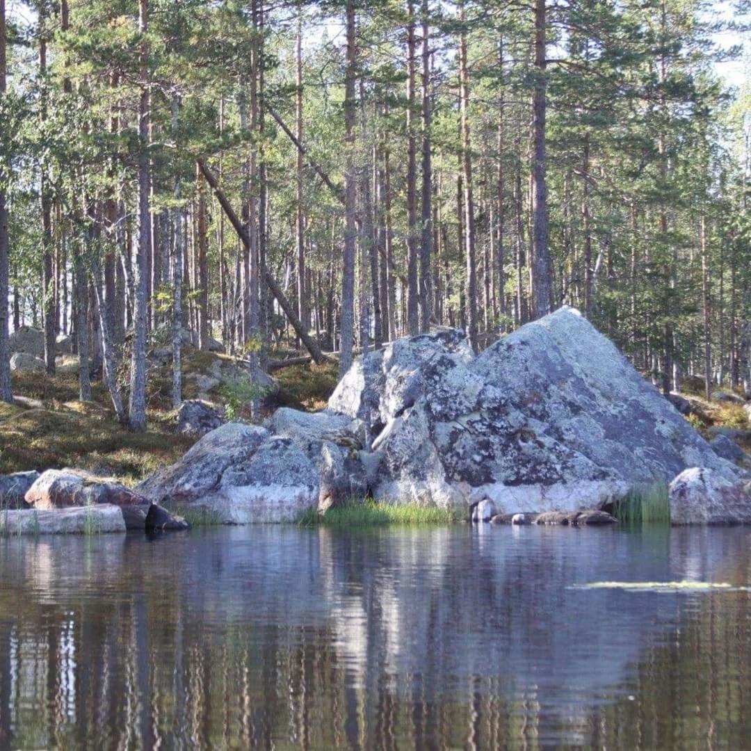 Hamra Stugby - Nature Adventures Hamra Dış mekan fotoğraf