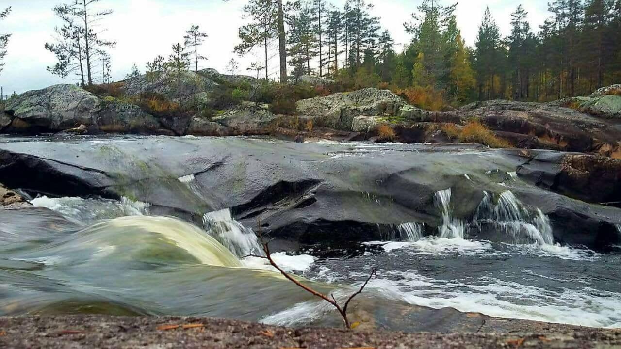 Hamra Stugby - Nature Adventures Hamra Dış mekan fotoğraf